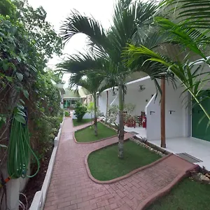** Gasthof Alona Gecko Philippinen